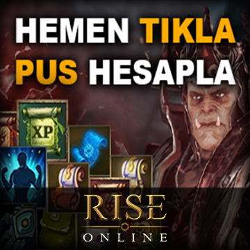 Rise Online PUS Hesaplayıcı